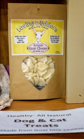 12-16-18-cwf-360_0067-copy